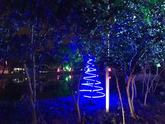-枫花园汽车电影院(朝阳公园店)
