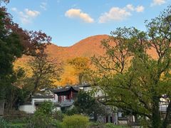 -塔川景区
