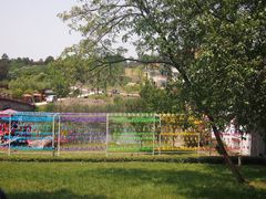 -大塘金香草谷