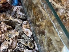 -港畔赶海蒸汽海鲜烧烤自助(仙螺岛店)
