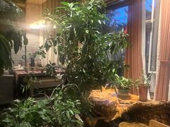 -慢丽江·云南野生菌土鸡锅(付家庄店)