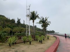 -野狸岛