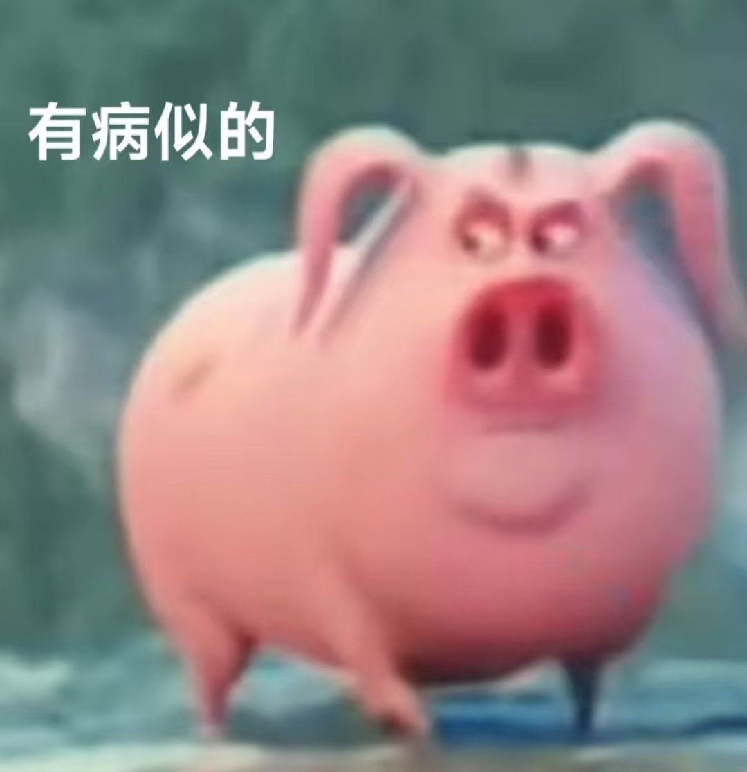飞天猪表情包来咯!速来进货!