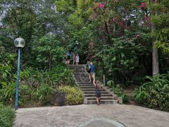-九龙公园