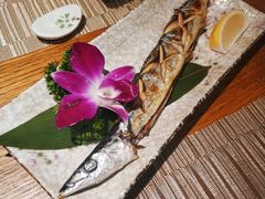 -酒井酱子·深夜食堂(东城汇店)