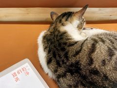 -MQ COFFEE STAND明谦(新洲店)