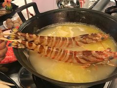 -鲜入围煮花胶鸡海鲜火锅