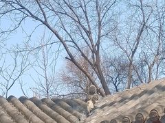 -碑林公园