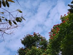 -红花湖景区