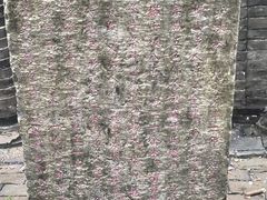 -上海佘山国家森林公园天马山园