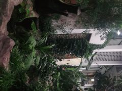 -滕头生态酒店(奉化店)