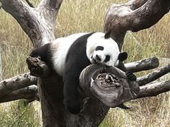 -宁波野生动物园