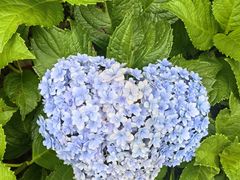 -贵阳北天主教堂