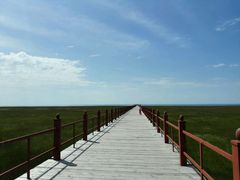 android_upload_pic-青海湖仙女湾景区