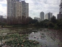 -四海公园(南山区)