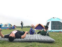 -春花秋色城市公园