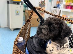 -北京赛佳动物医院