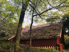 -南山植物园