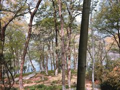 -紫金山山顶公园