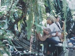 -Fern Forest Cafe