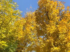 -川香煲(茅台路店)