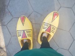 -长春公园(普阳街道)