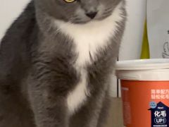 -安安宠医宠物医院·异宠·犬猫内科(岳阳分院)
