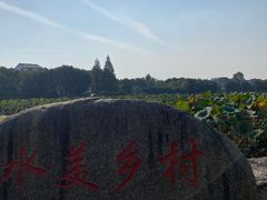 -东山香樟园