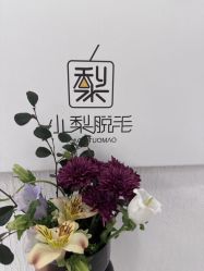 -小梨·OndaPro·专业脱毛连锁机构