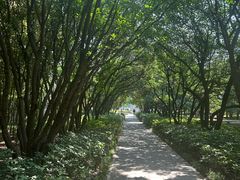 -河南省黄河迎宾馆