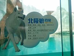 -秦皇岛乐岛海洋王国