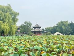 -莲池书院博物馆