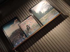-Wagas沃歌斯(枫蓝国际店)