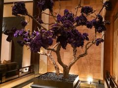 -西安华清御汤酒店