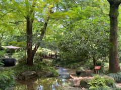 -中国茶叶博物馆(双峰馆区)