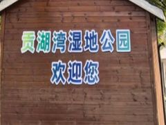 -贡湖湾湿地公园
