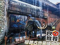 -呀路古热带植物园