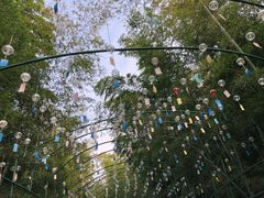 -陶祖圣境风景区