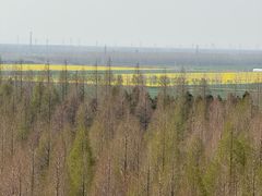 -黄海国家森林公园