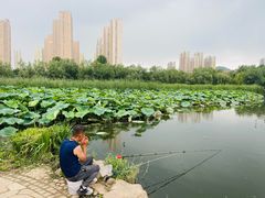 -前关湿地公园