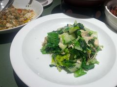 -老吉堂上海本帮菜(望京万象汇店)