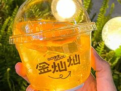 -VT101维多利广场