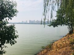 -艾溪湖湿地公园