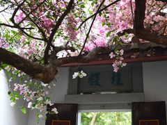 -深圳国际园林花卉博览园