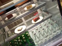 -飞行喵MR PILOT|猫舍·猫咖(静安大融城店)