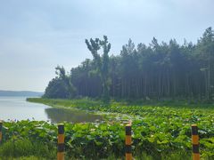 -长春净月潭风景名胜区
