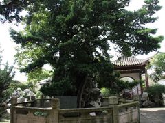 -东湖景区