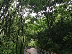 -西湖风景区-江洋畈生态公园