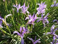 -天津东丽湖风景区