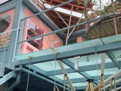 -喵屿·大理花园猫咖